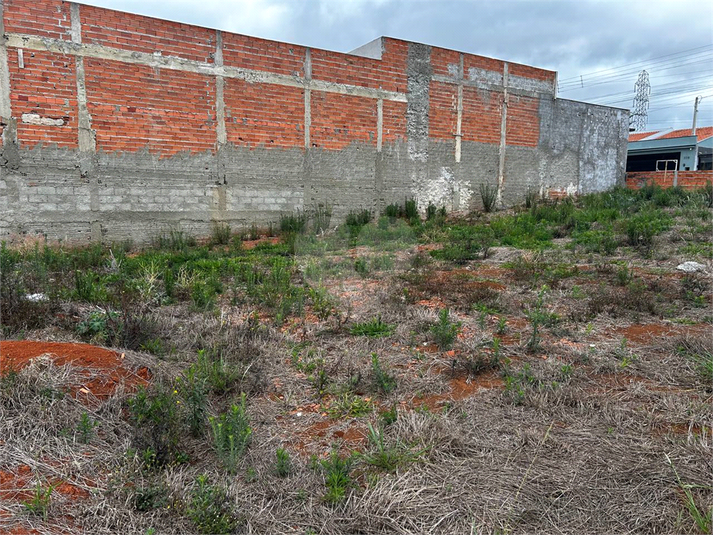 Foto REO1129526