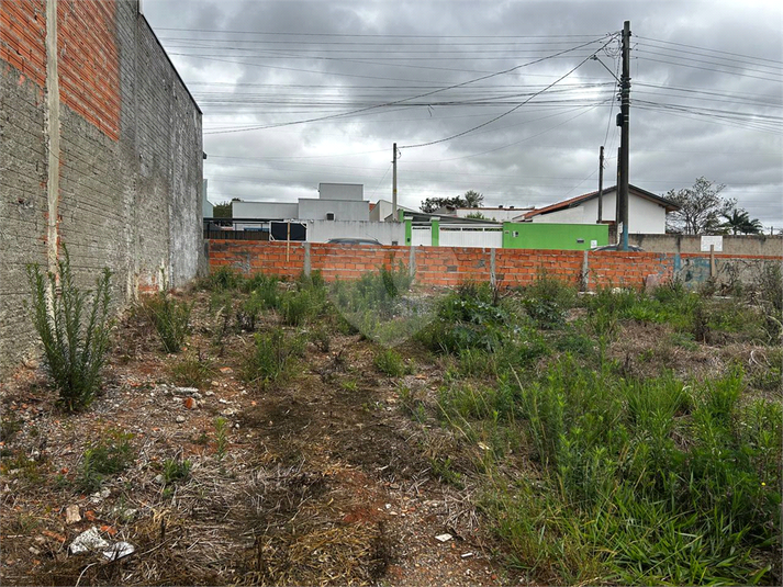 Foto REO1129526