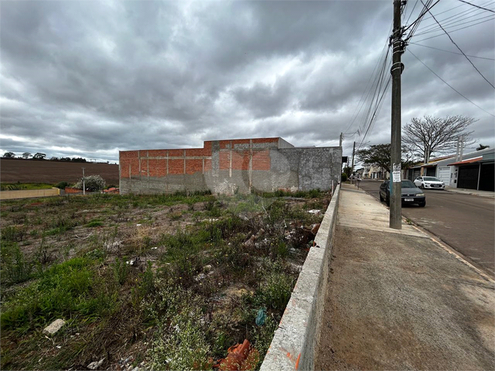 Foto REO1129526