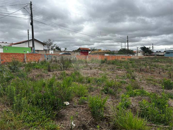 Foto REO1129526