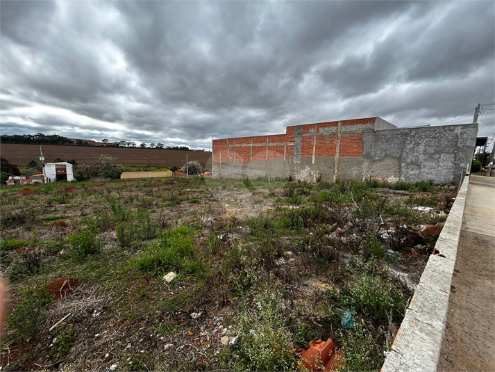 Foto REO1129526
