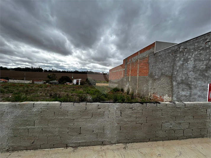 Foto REO1129526