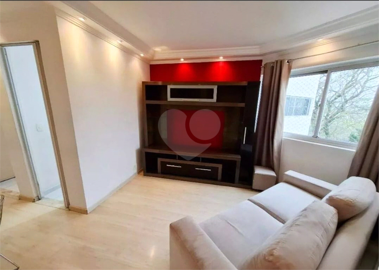 Foto REO1129533