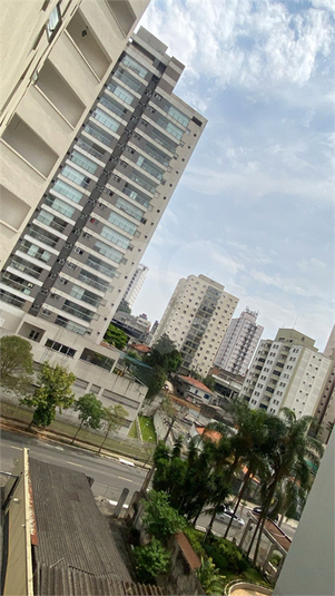 Foto REO1129547