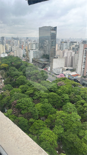 Foto REO1129549
