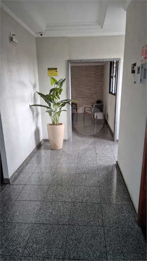 Foto REO1129556