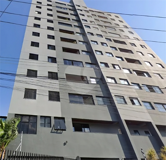 Foto REO1129556