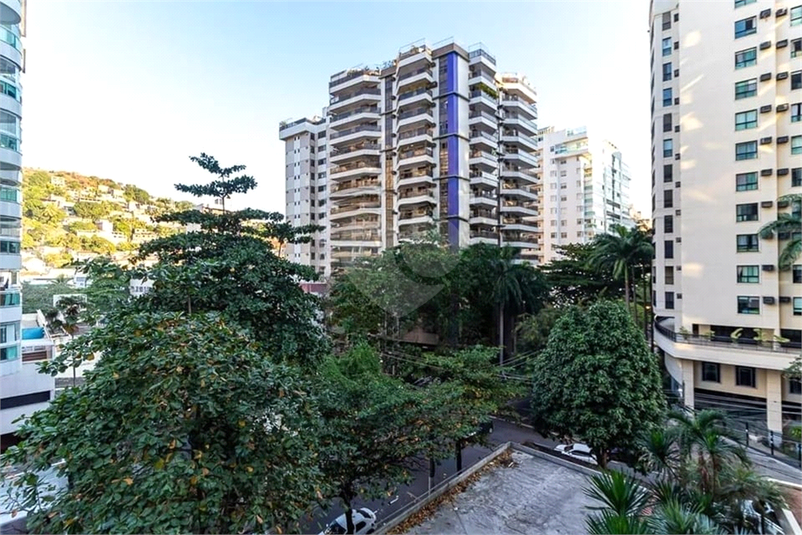 Foto REO1129571
