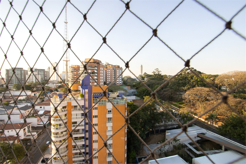 Foto REO1129581