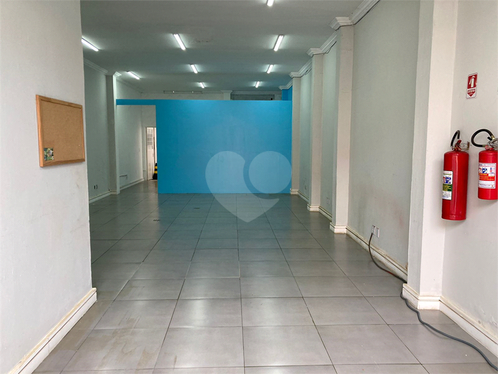 Foto REO1129583