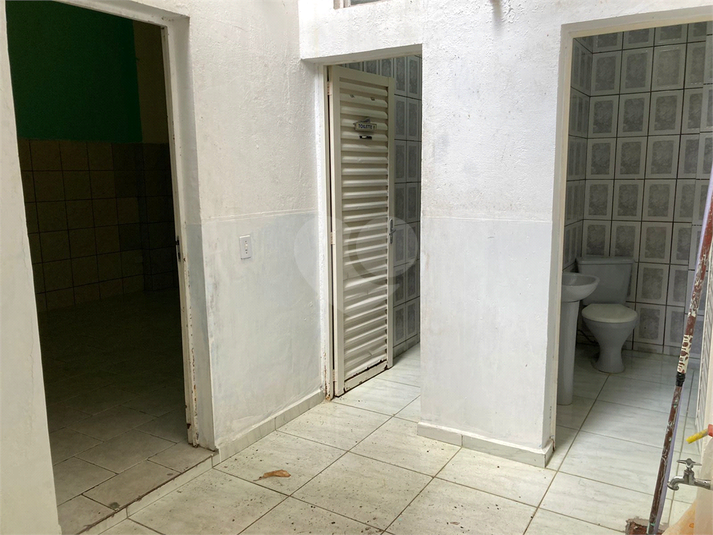 Foto REO1129583