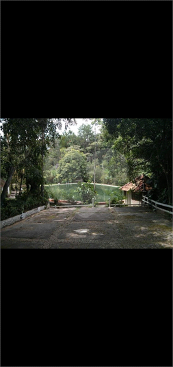 Foto REO1129592