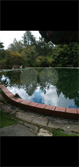 Foto REO1129592