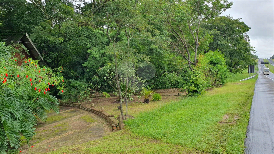 Foto REO1129592