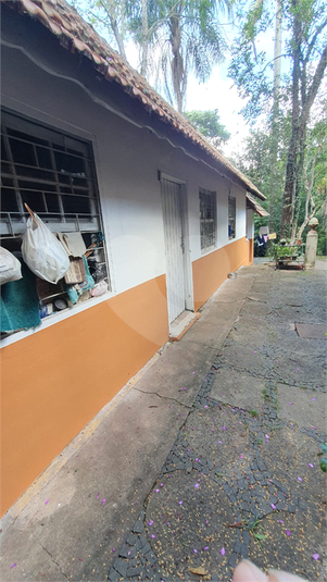 Foto REO1129592