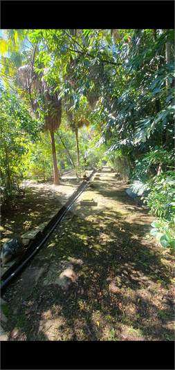 Foto REO1129592