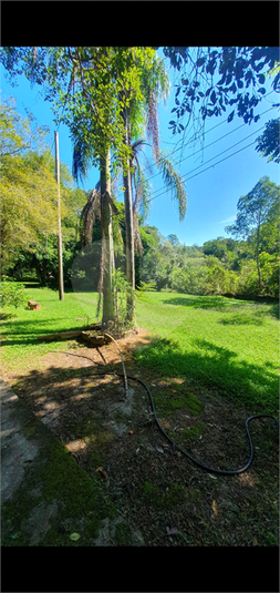 Foto REO1129592