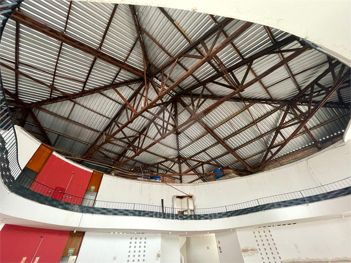 Foto REO1129593