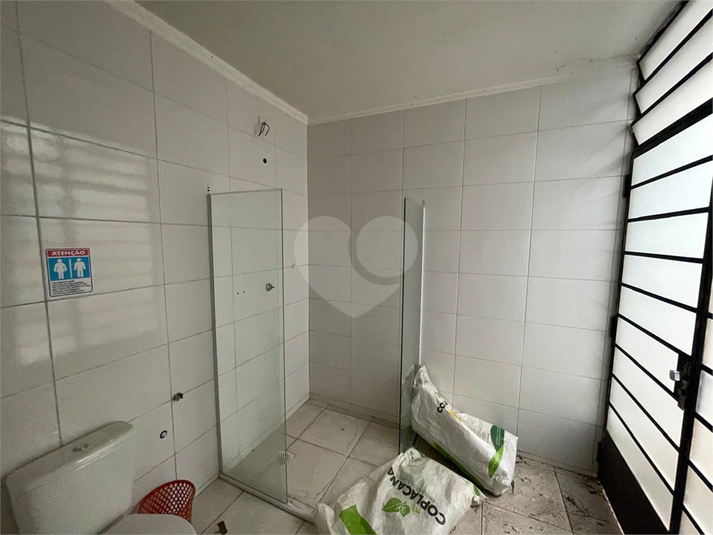 Foto REO1129593