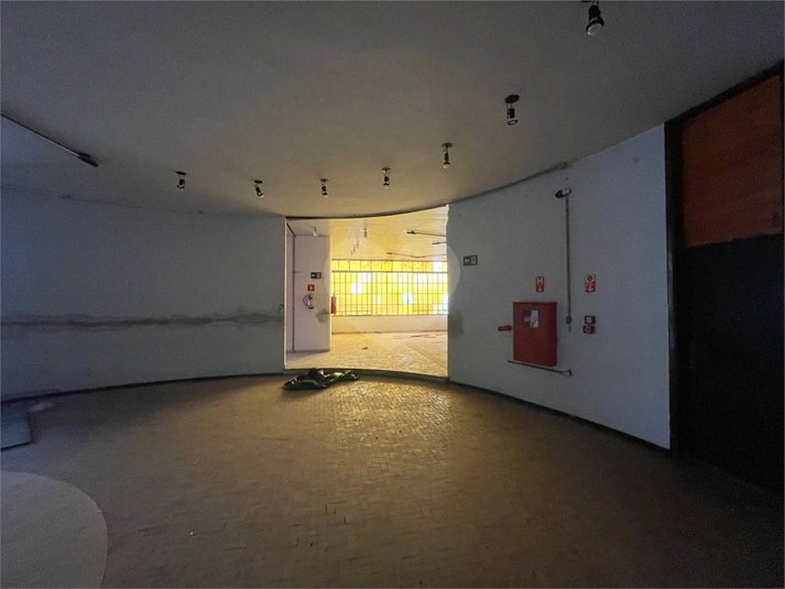 Foto REO1129593