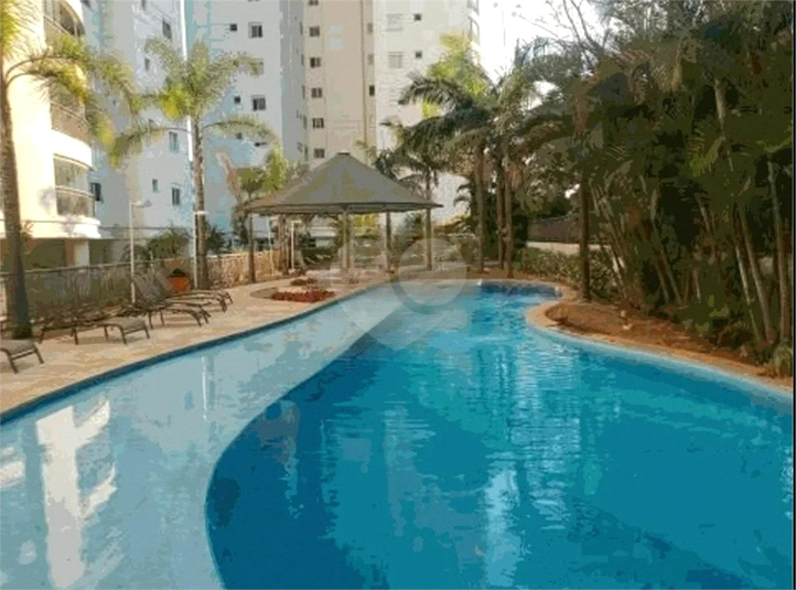 Foto REO1129599