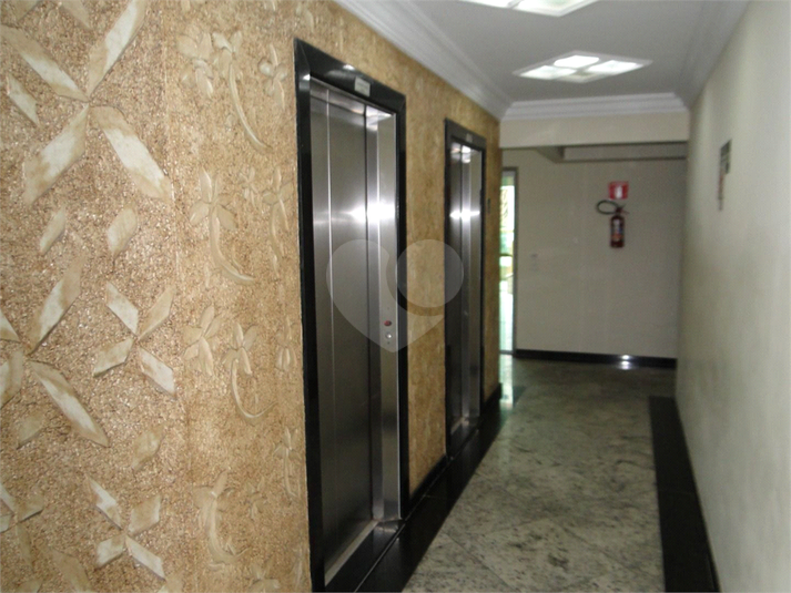 Foto REO1129616