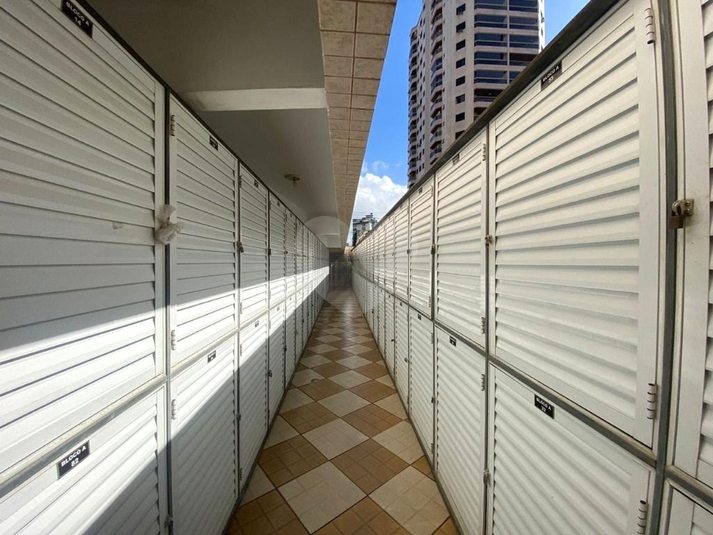 Foto REO1129621