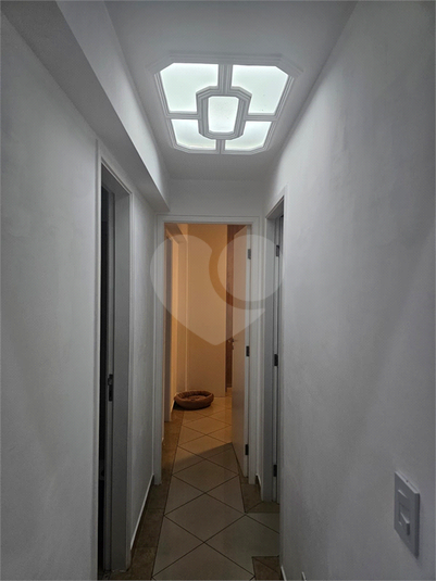Foto REO1129632