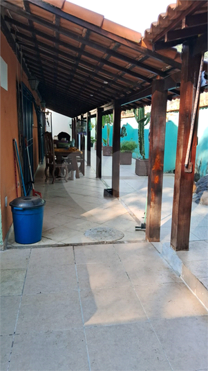 Foto REO1129639