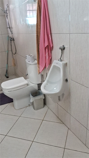 Foto REO1129639