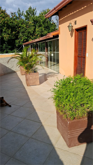 Foto REO1129639