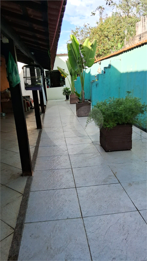 Foto REO1129639