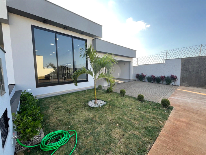 Foto REO1129662