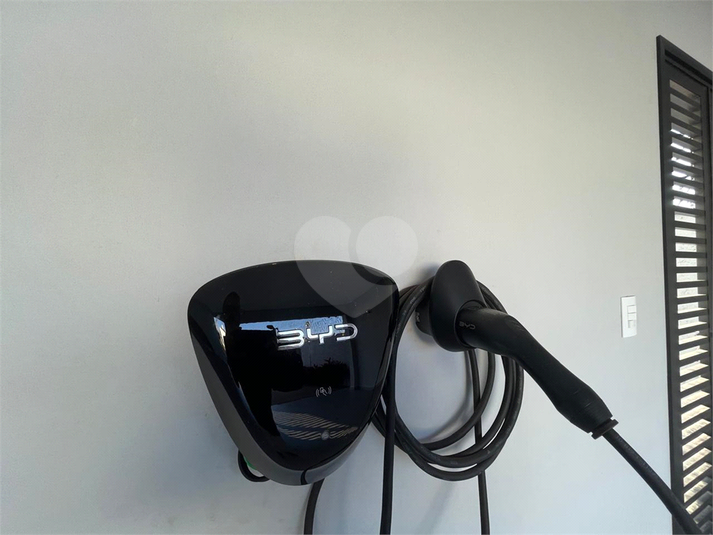 Foto REO1129662