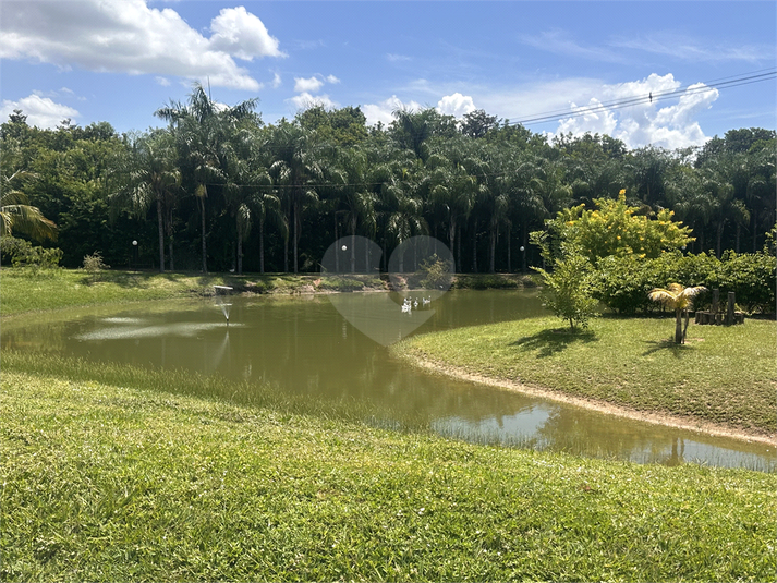 Foto REO1129668