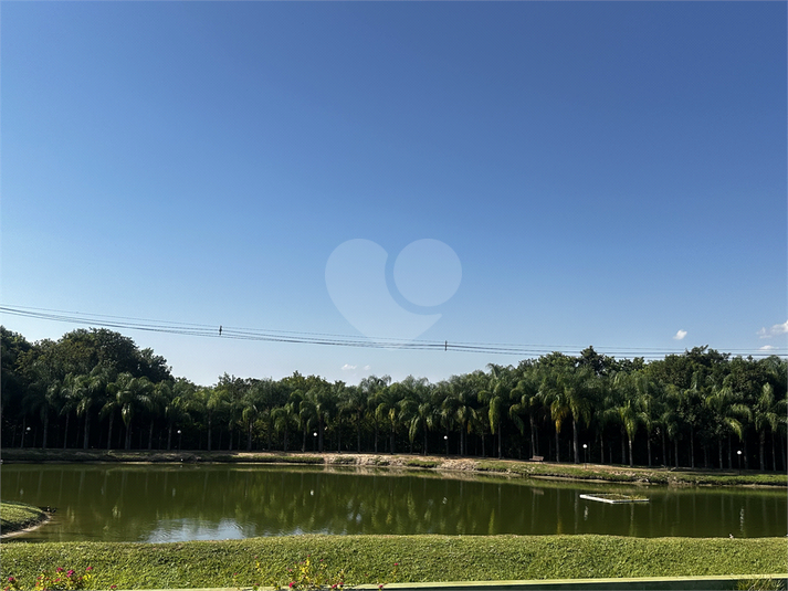 Foto REO1129668