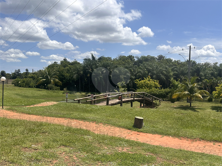 Foto REO1129668