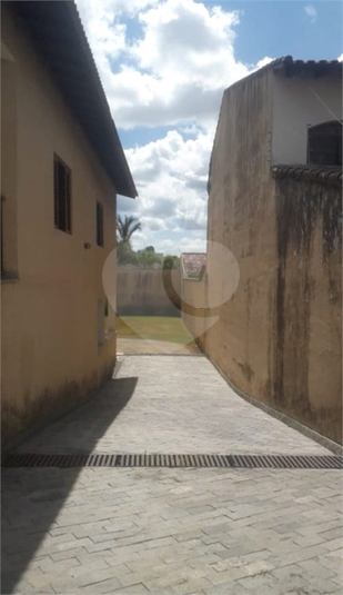 Foto REO1129677