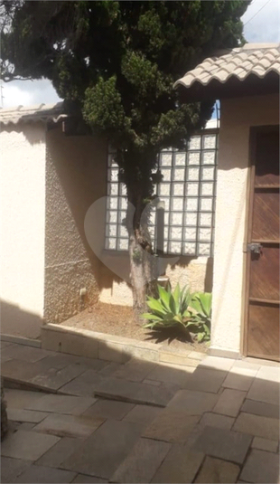 Foto REO1129677