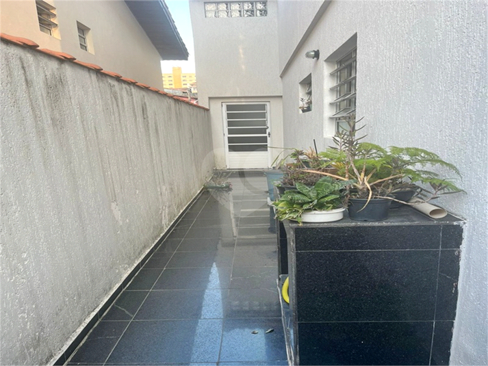 Foto REO1129679