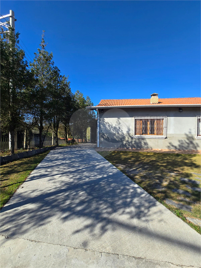 Foto REO1129681