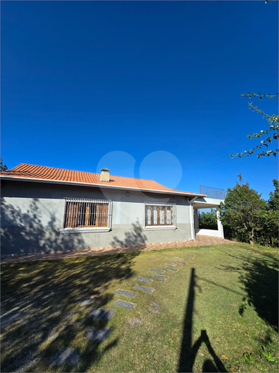 Foto REO1129681