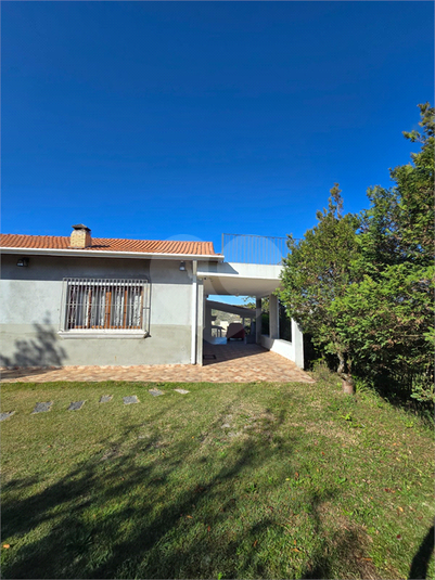 Foto REO1129681