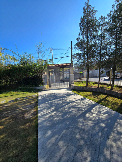 Foto REO1129681