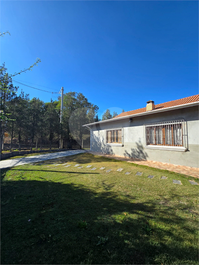 Foto REO1129681