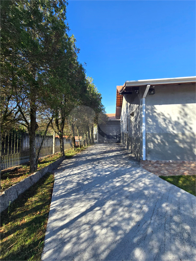 Foto REO1129681