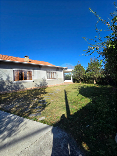 Foto REO1129681