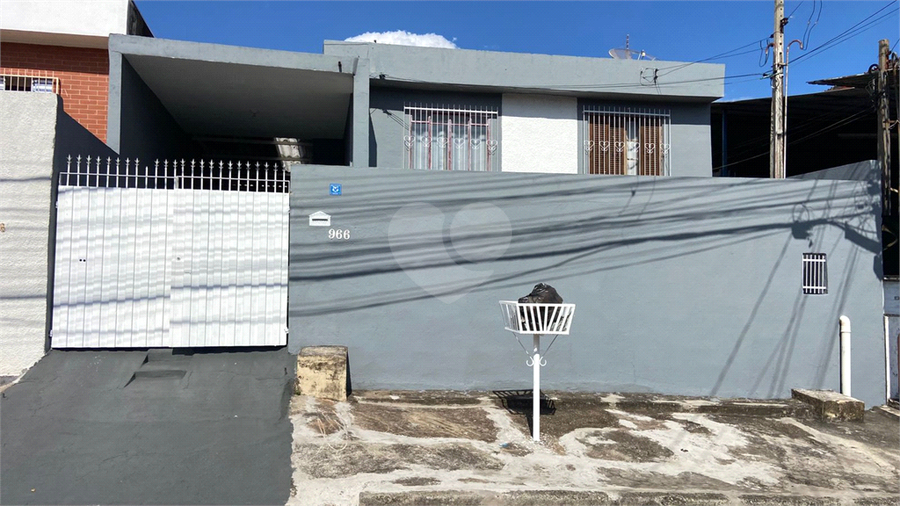 Foto REO1129686