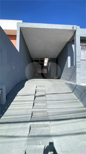 Foto REO1129686