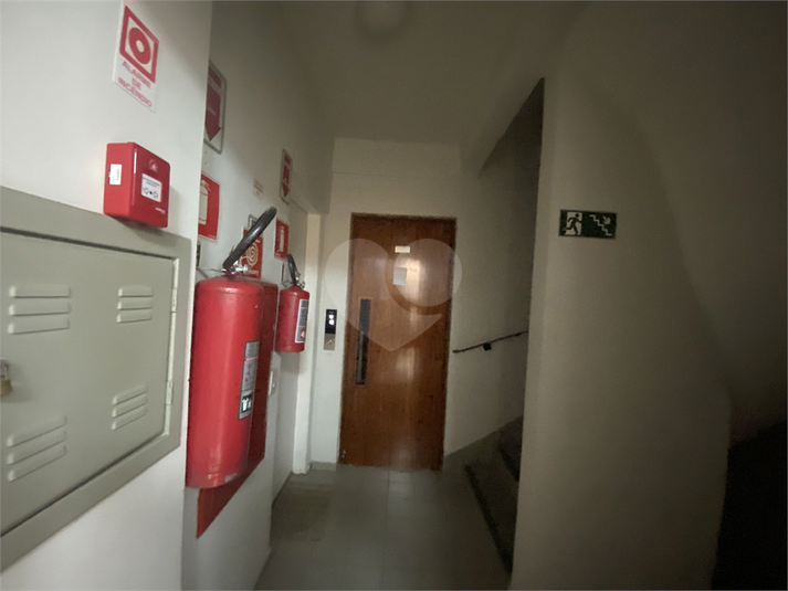 Foto REO1129695